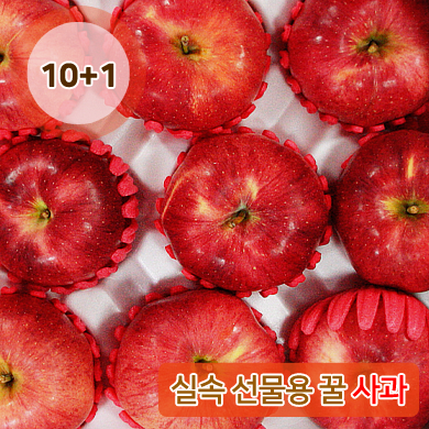 名品 선물용 꿀 사과 5KG (14~15과)
