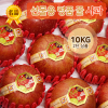 名品 선물용 꿀 사과 5KG (12과)