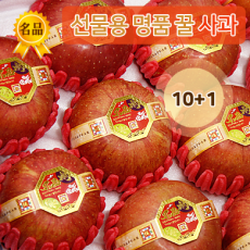 名品 선물용 꿀 사과 5KG (12과)