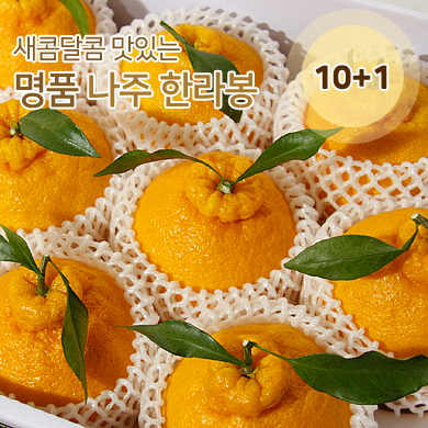 명품 선물용 福 한라봉 3KG (8과)